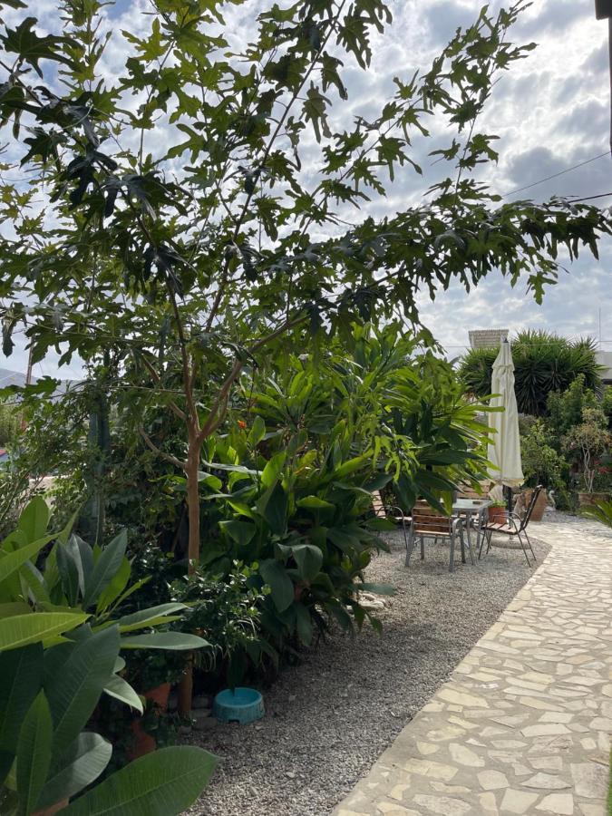House Of Sunset 2 Sivas Apartment Bagian luar foto